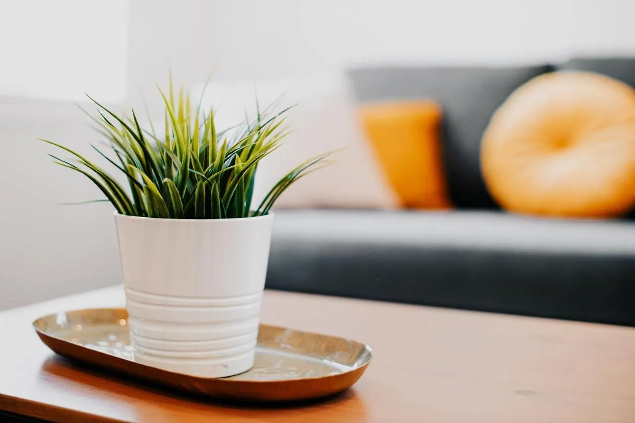 Apartment Appartement Cosy Avec Place De Parking Prive Toulouse